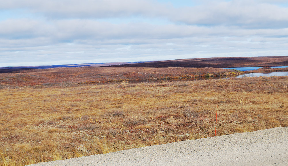 Check the Arctic Ocean Off Your Bucket List With This Drive